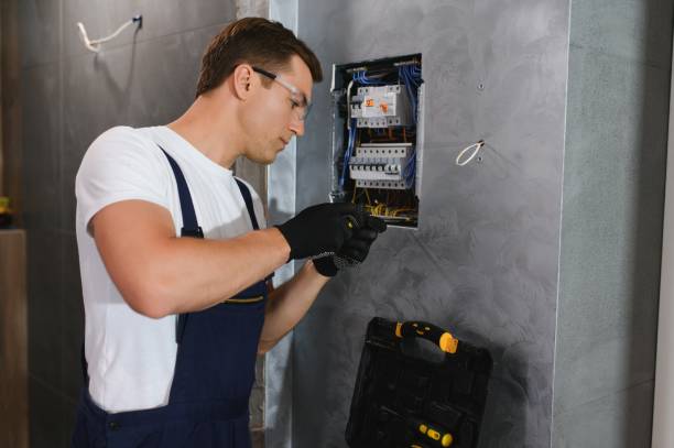 Best Electric Panel Repair  in Poncha Springs, CO